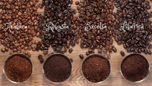 educational; visualize 4 coffee bean varieties