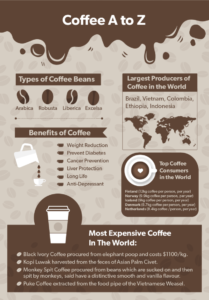 educational: infographic about 4 different varieties of coffee bean